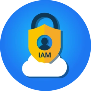 selecteer-IAM-oplossing_als-clouddienst