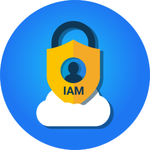 selecteer-IAM-oplossing_als-clouddienst