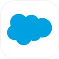 icon_SalesForce