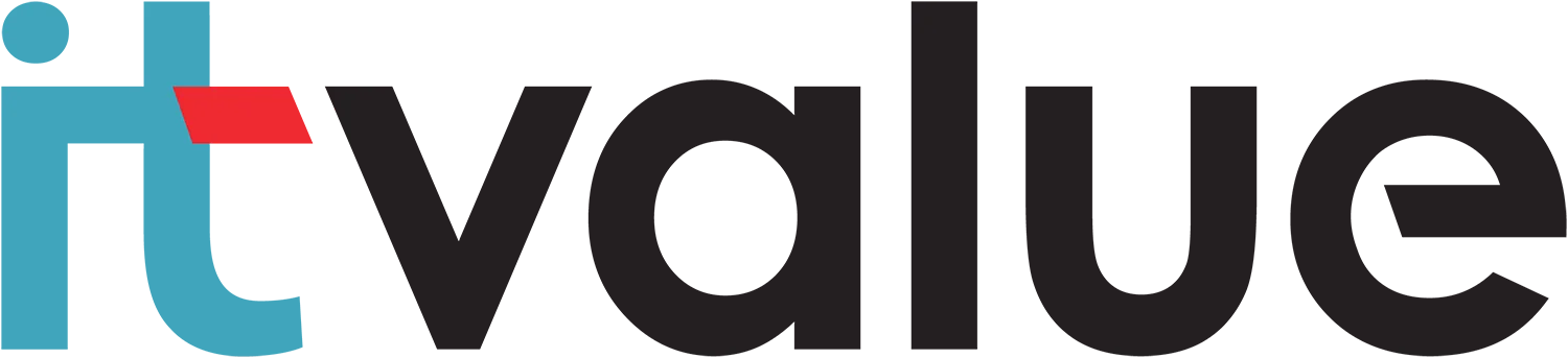 Logo IT-Value